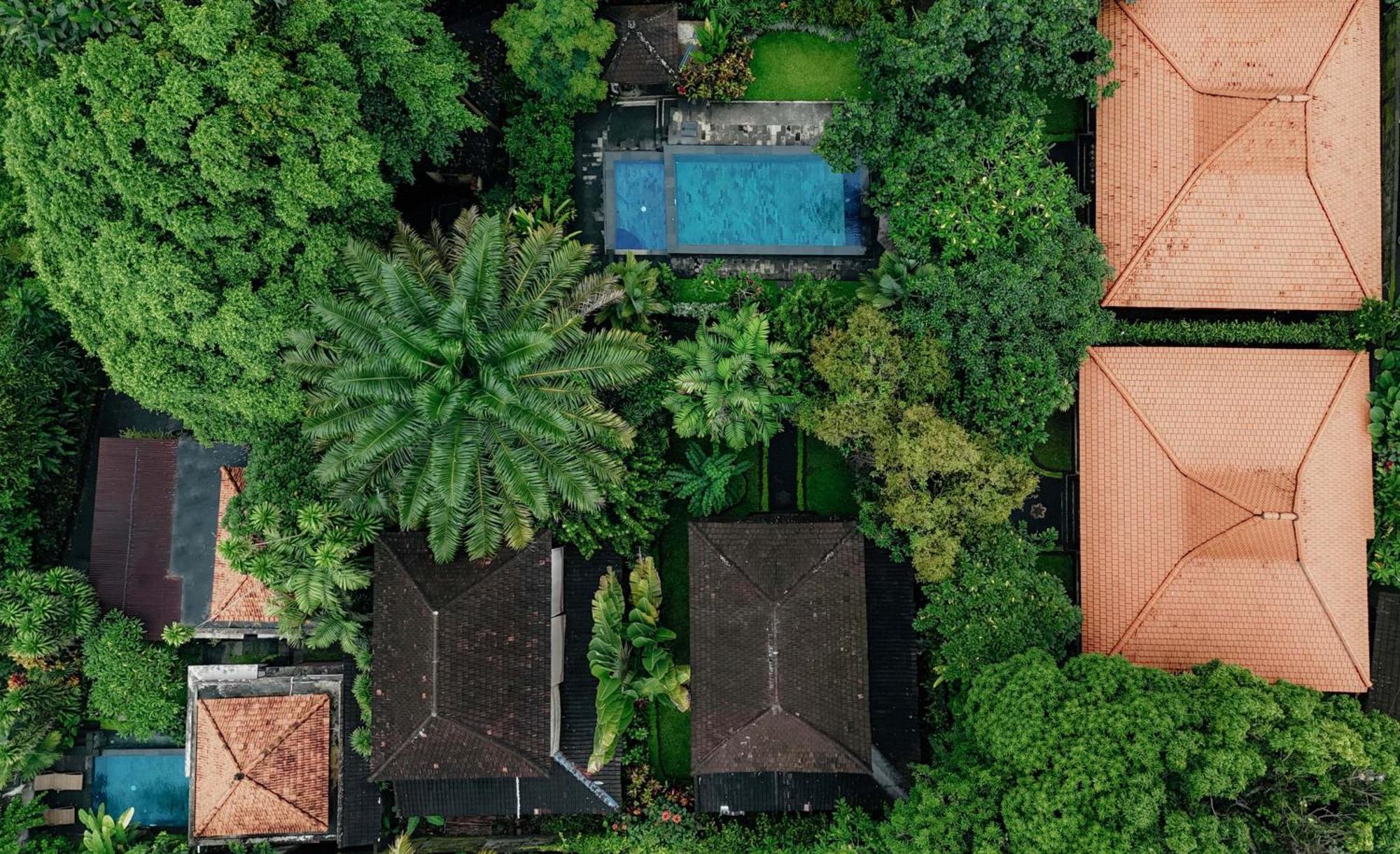 Sari Bamboo Villas Ubud Buitenkant foto